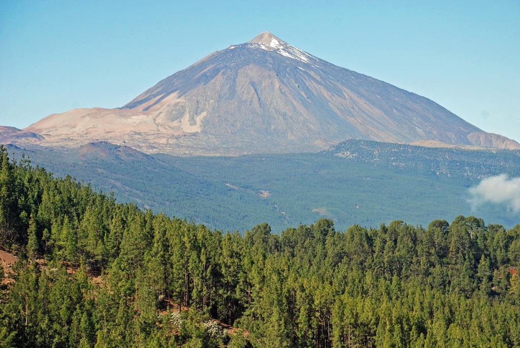 Holiday Home El Teide Icod De Los Vinos Kamer foto